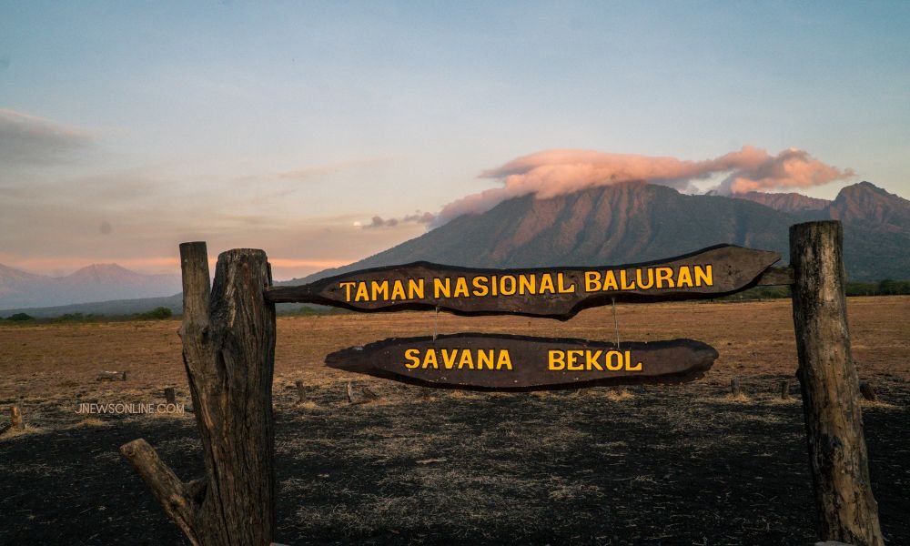 Taman Nasional Baluran : Hanya 45 Menit Dari Berlian Abadi Hotel!